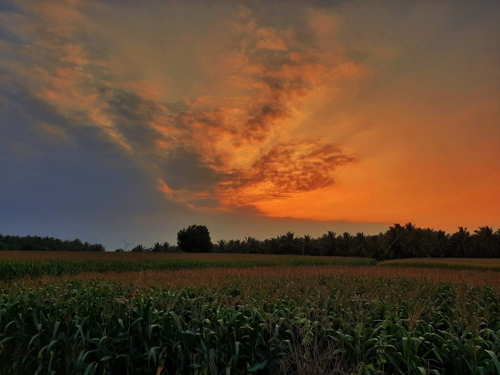 Photograph by Prabanjan Prabanjan karuppusamy