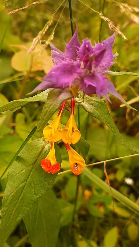 Photograph by Екатерина Попова