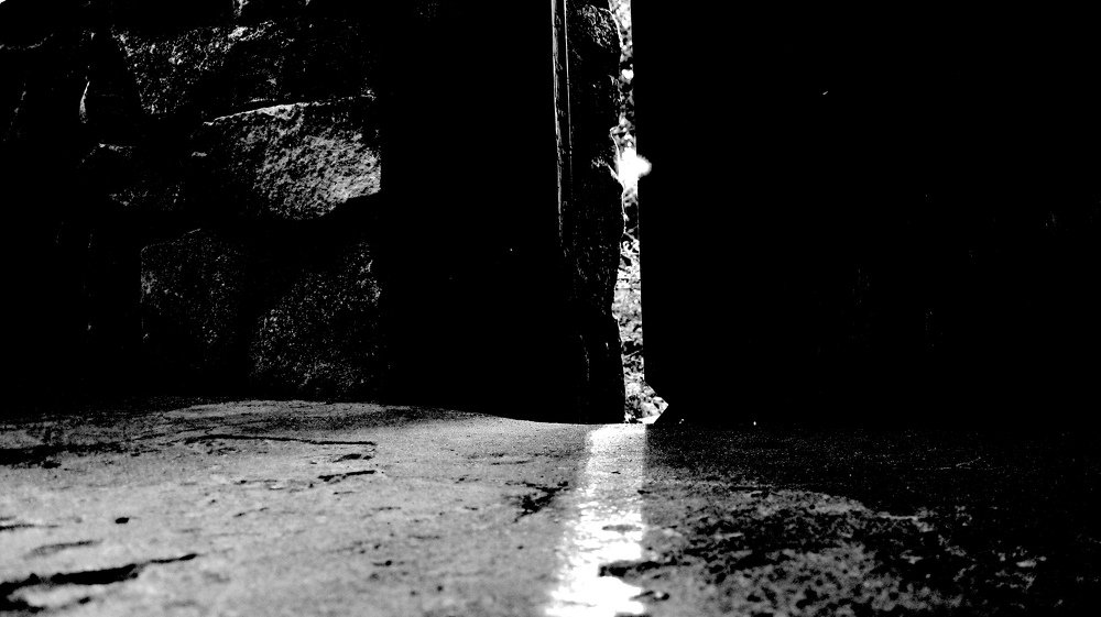 Photograph by Александр Рыбак