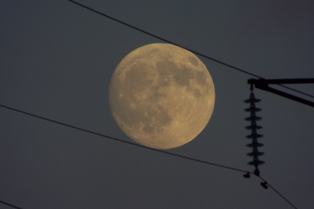 Фотография автора Виктор Конев