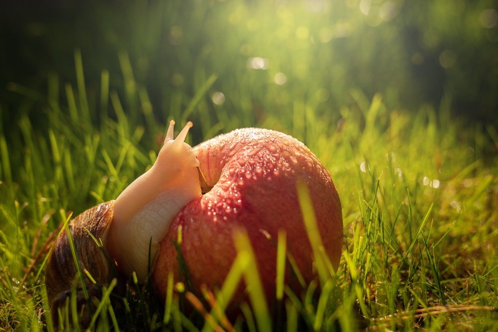 Photograph by Виктория Кузнецова