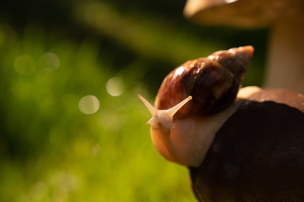 Photograph by Виктория Кузнецова