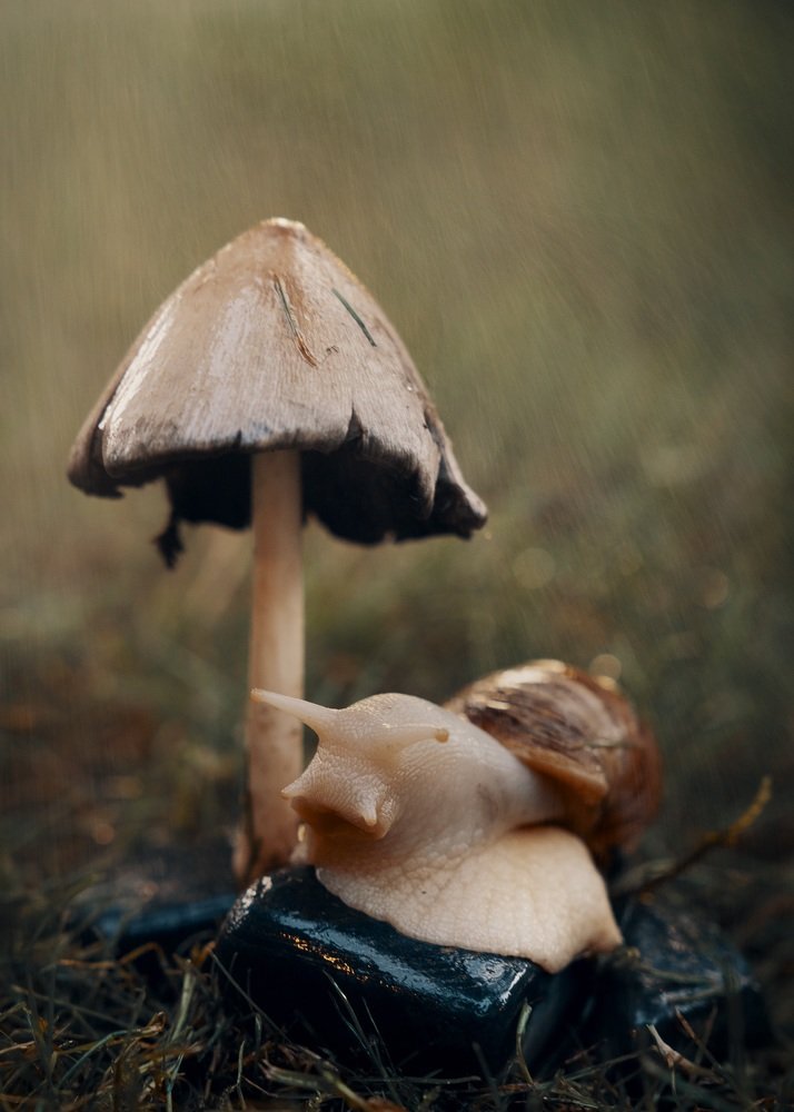 Photograph by Виктория Кузнецова