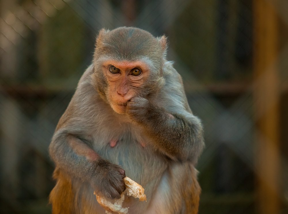 Photograph by Ліля Гуцол