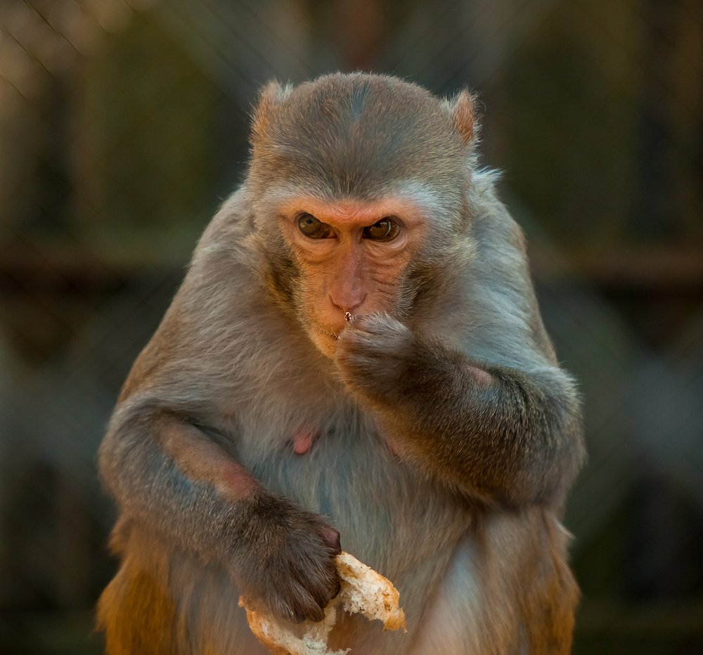 Photograph by Ліля Гуцол