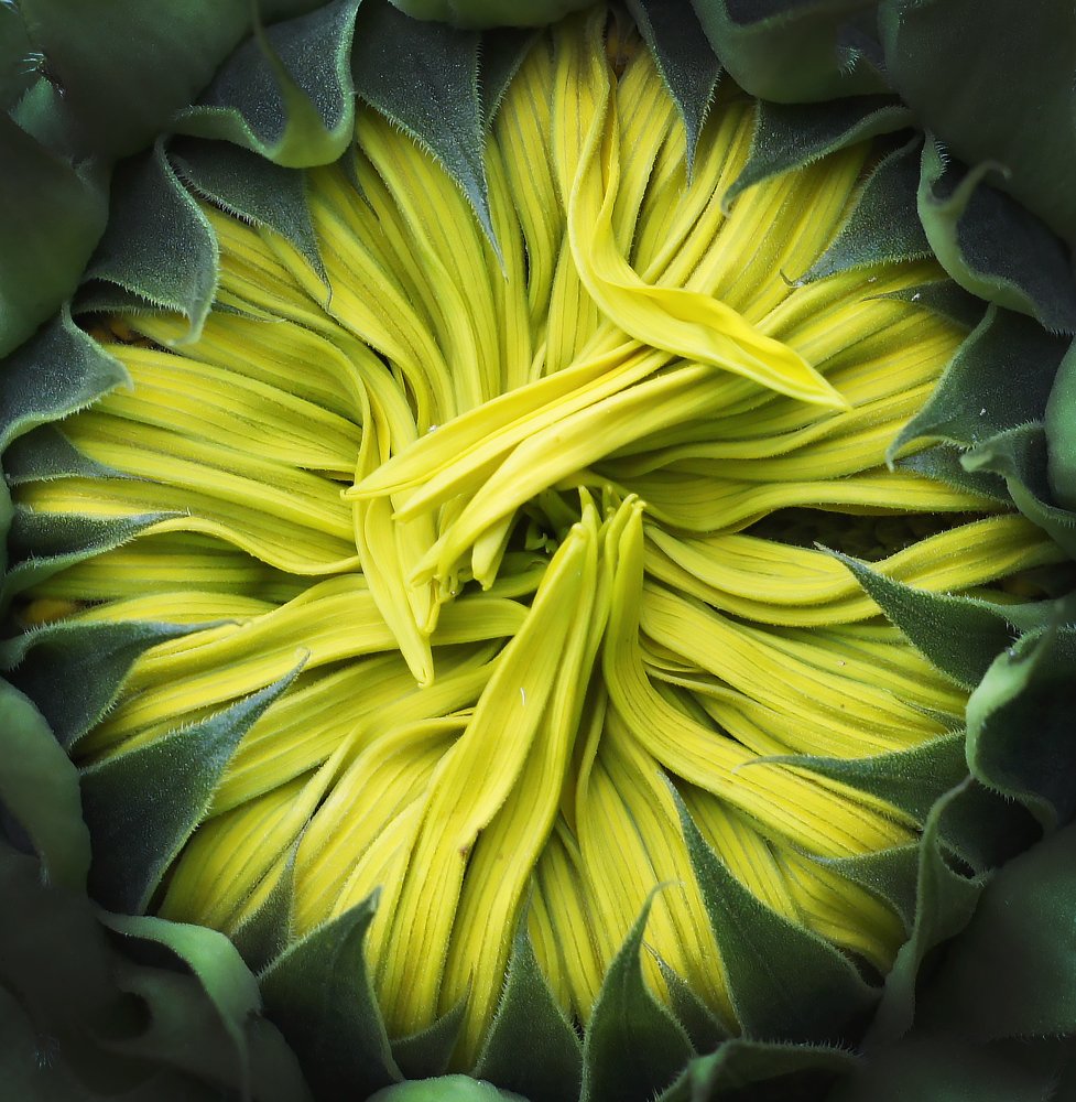 Photograph by Мария Загоревская