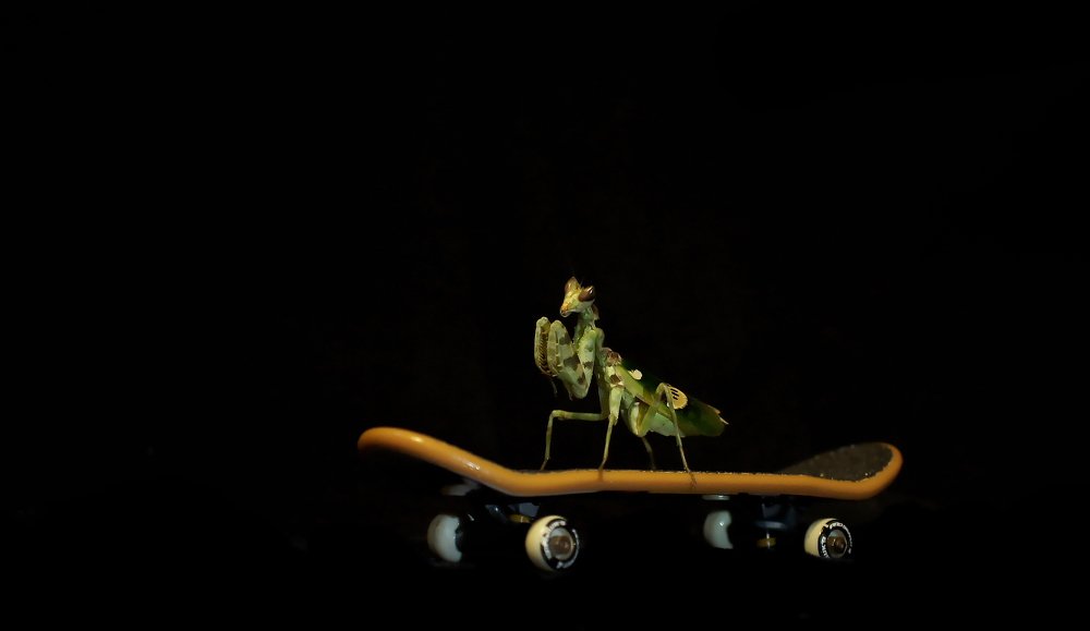 Photograph by Мария Загоревская