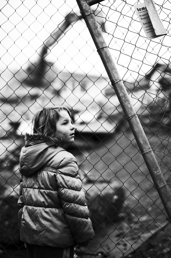 Фотография автора Josef Nový