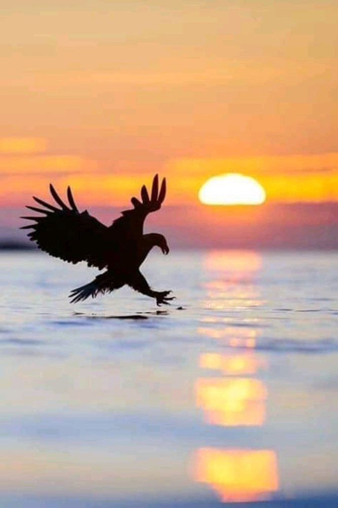 Photograph by Arshavin Martin