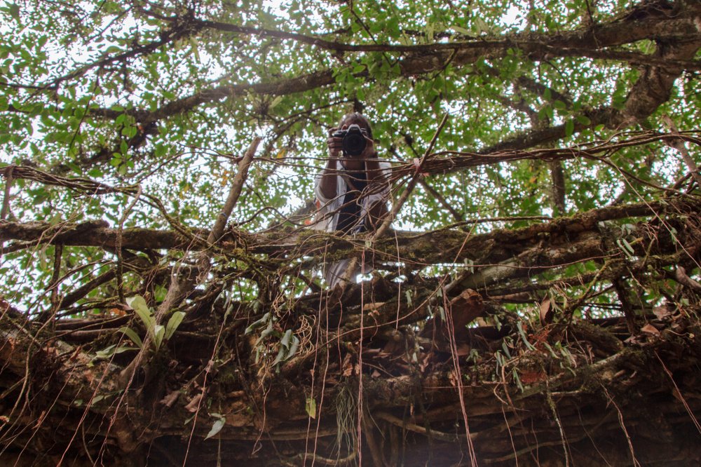 Photograph by Mansi Ambhore