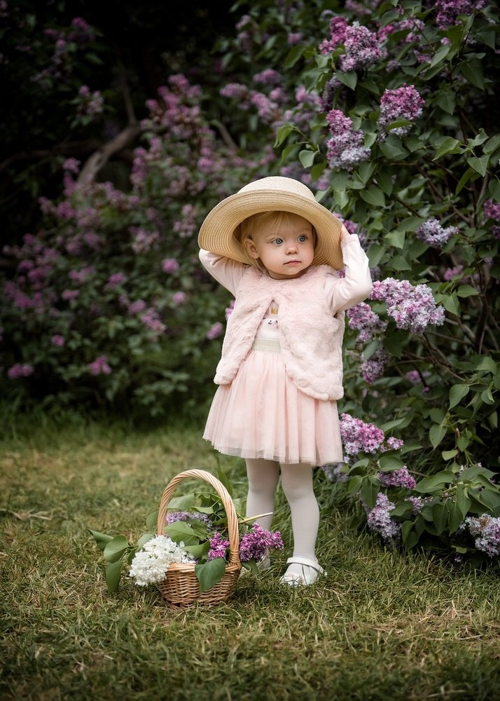 Сиреневые мечты