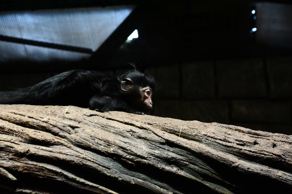 Photograph by Ольга Истомина