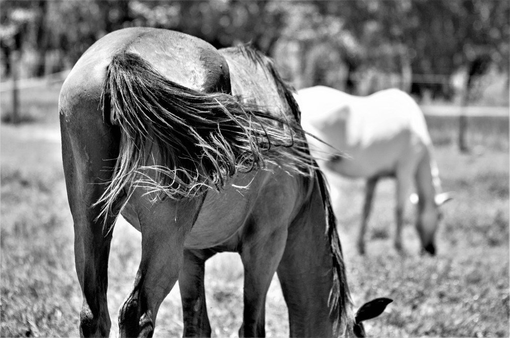 Photograph by Rosângela Verdi