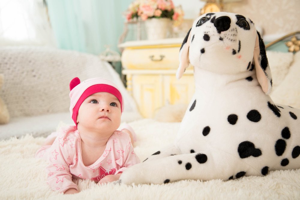 Photograph by Антон Востоков