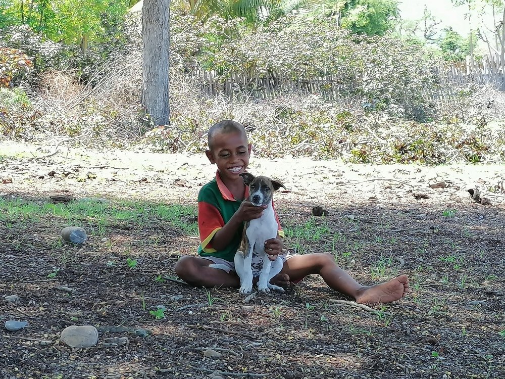 Photo #4133384