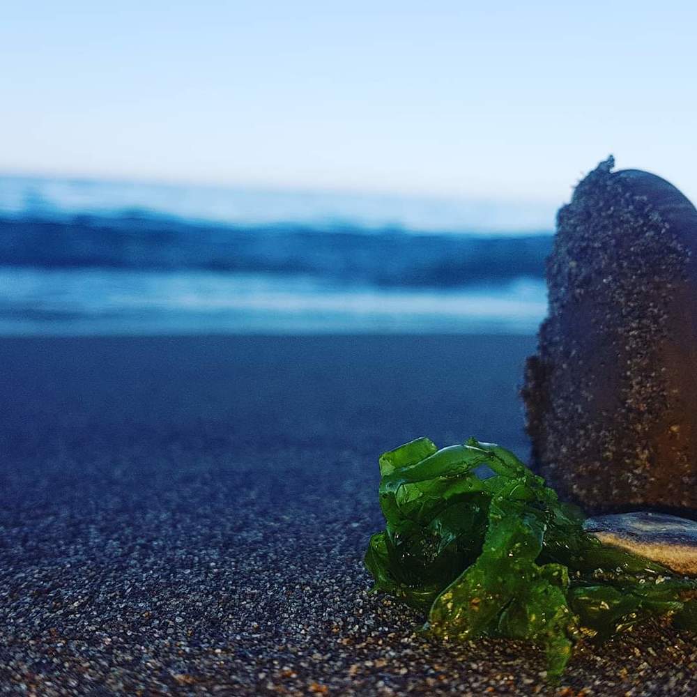 Photograph by Massi Saci