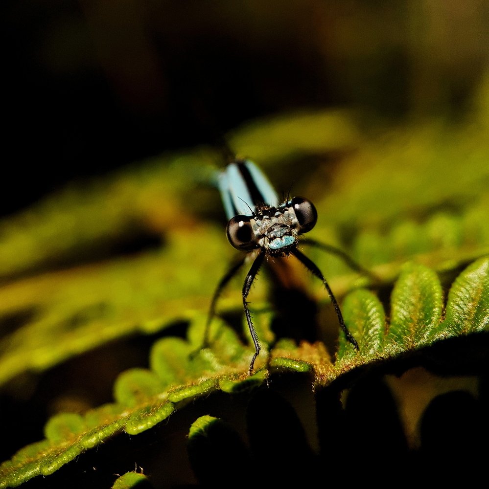 Photograph by Felipe Andres Giraldo Arevalo