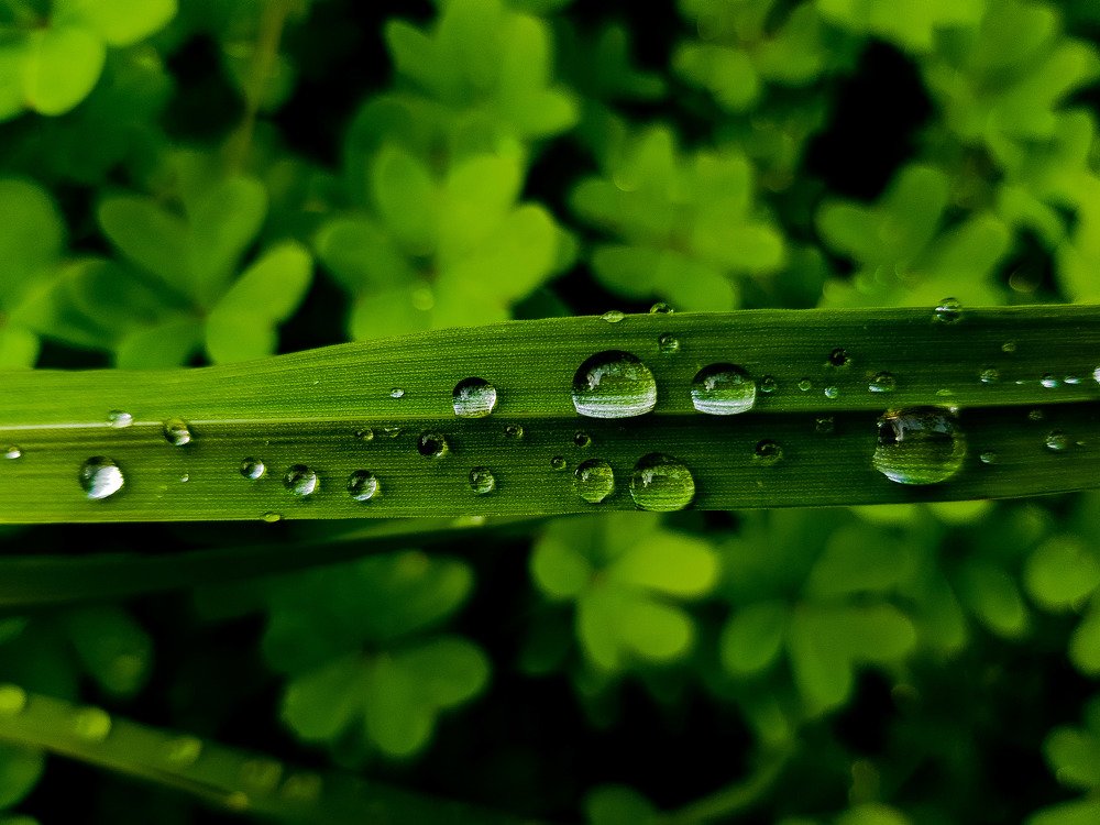 Photograph by Alexandre Maria