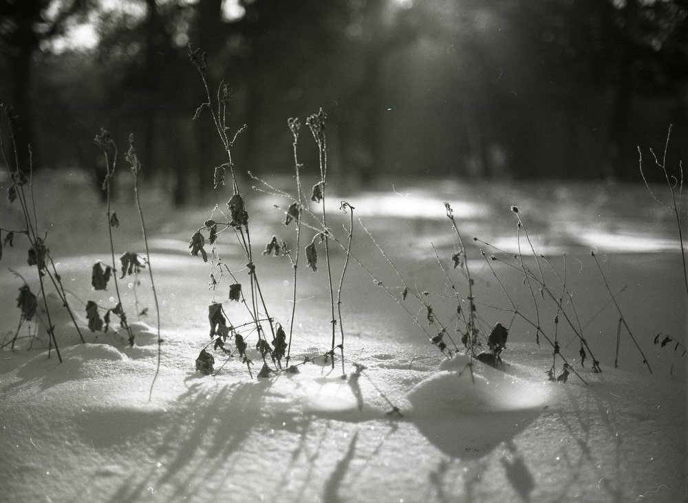Фотография автора Илья Глобин
