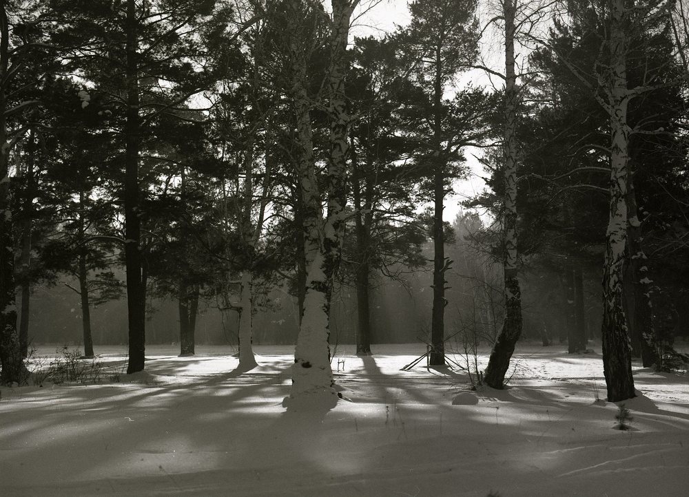 Фотография автора Илья Глобин