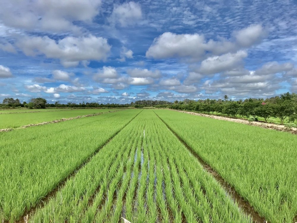 Photograph by Mustafa Ridha Ridho HK