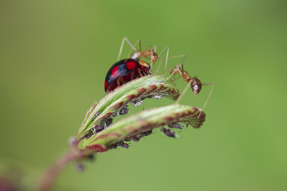 Photograph by Mustafa Ridha Ridho HK