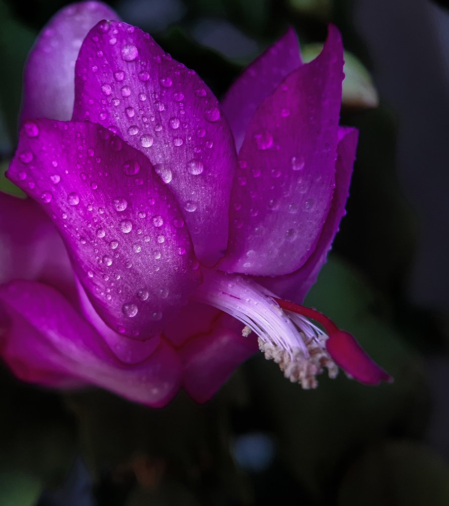 Photograph by Валентина Кананина