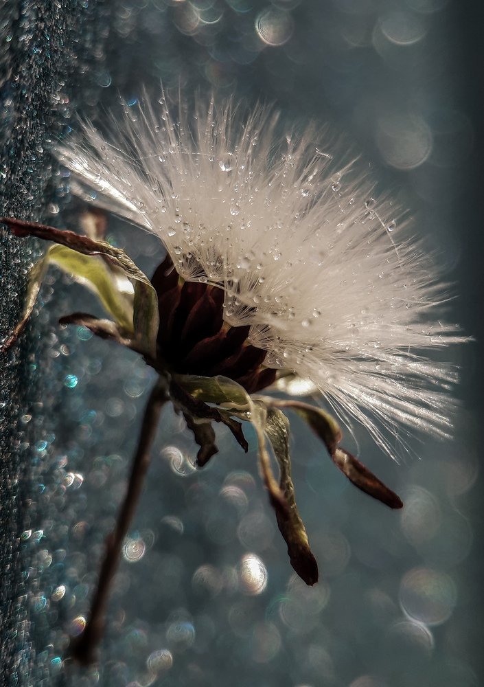 Photograph by Валентина Кананина