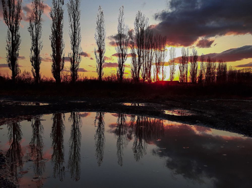 Photograph by Валентина Кананина