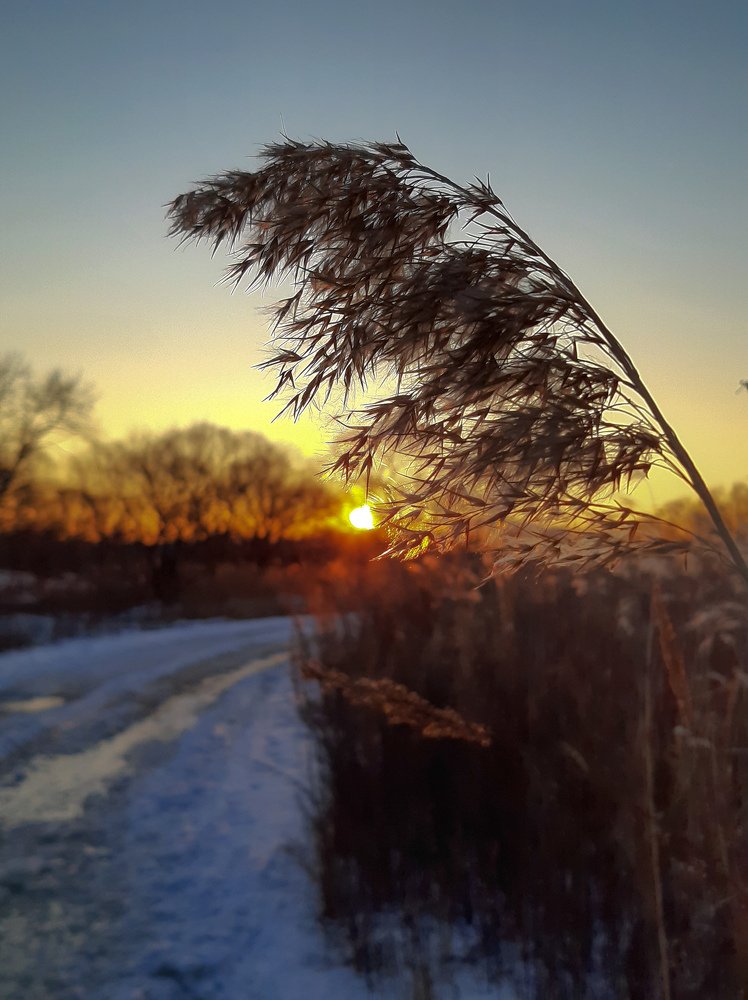 Photograph by Валентина Кананина
