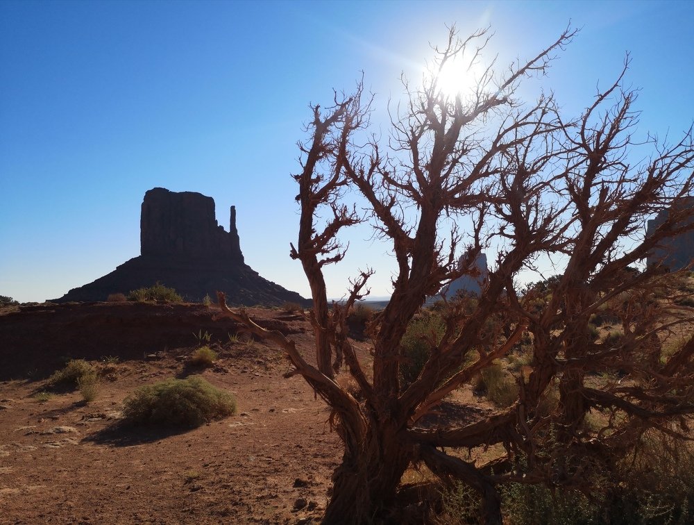 West Mitten Butte