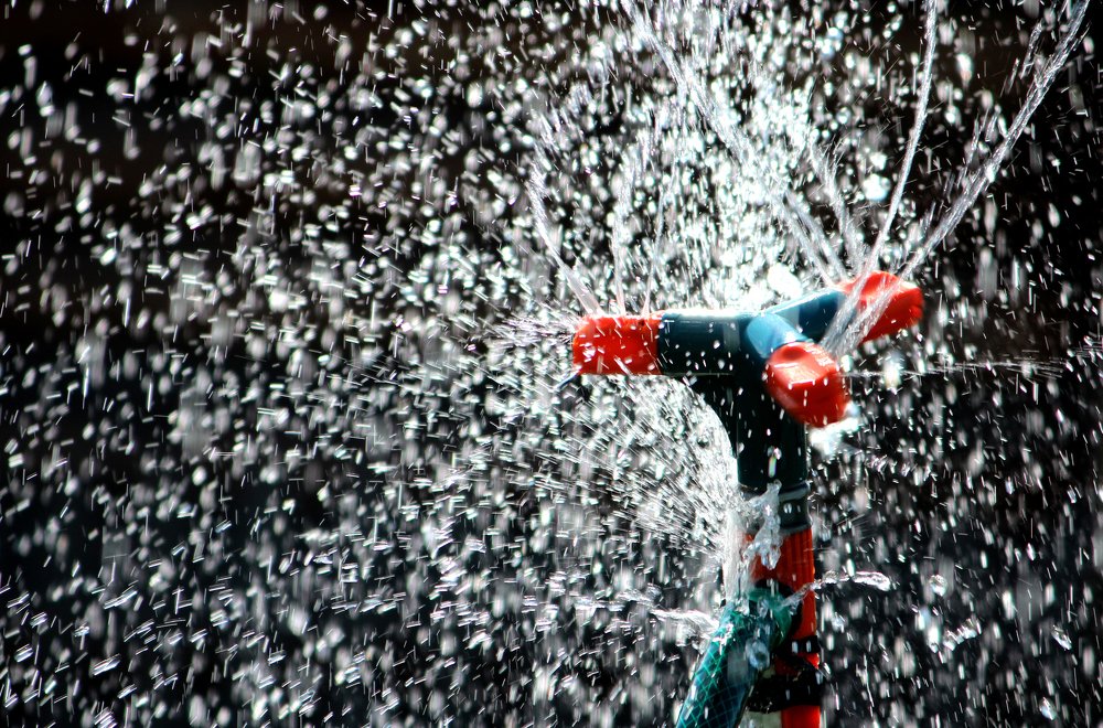 Photograph by Зоя Быкова