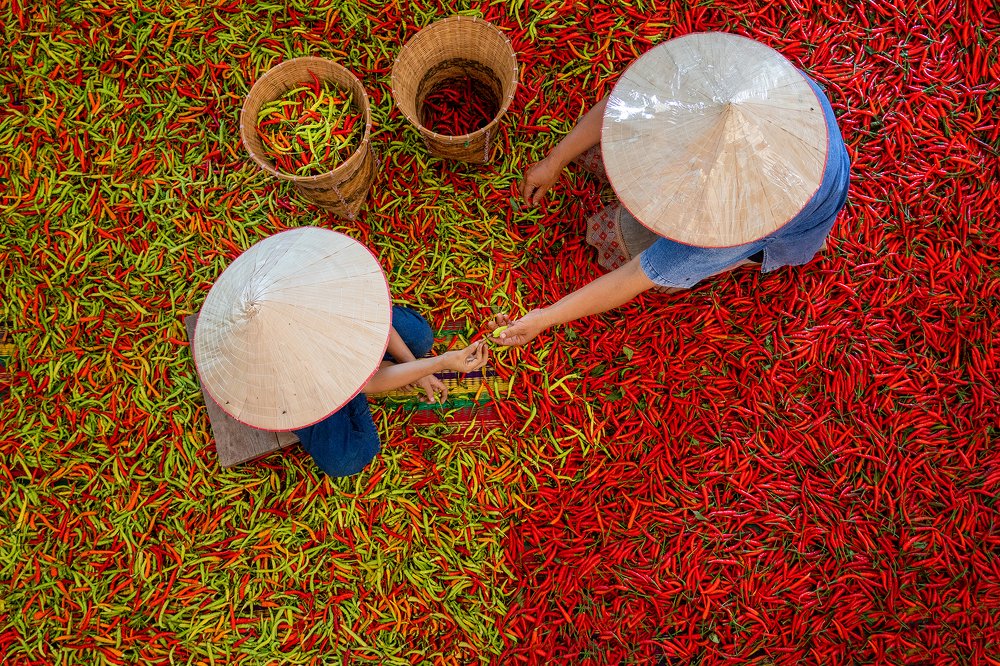 Photograph by sutipond somnam