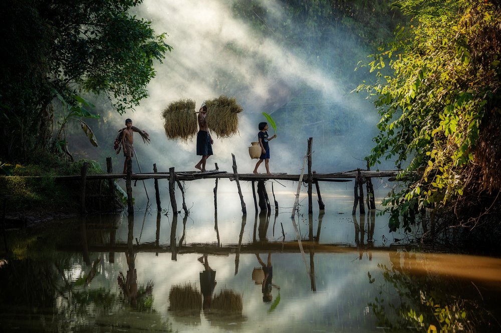 Photograph by sutipond somnam