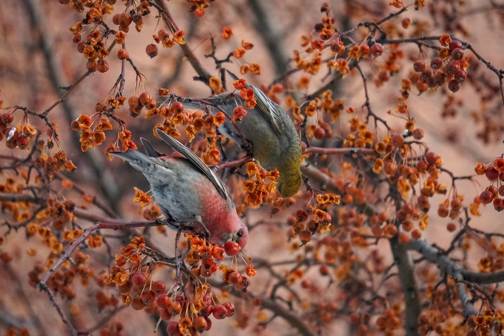 Photograph by Slesareva Nina