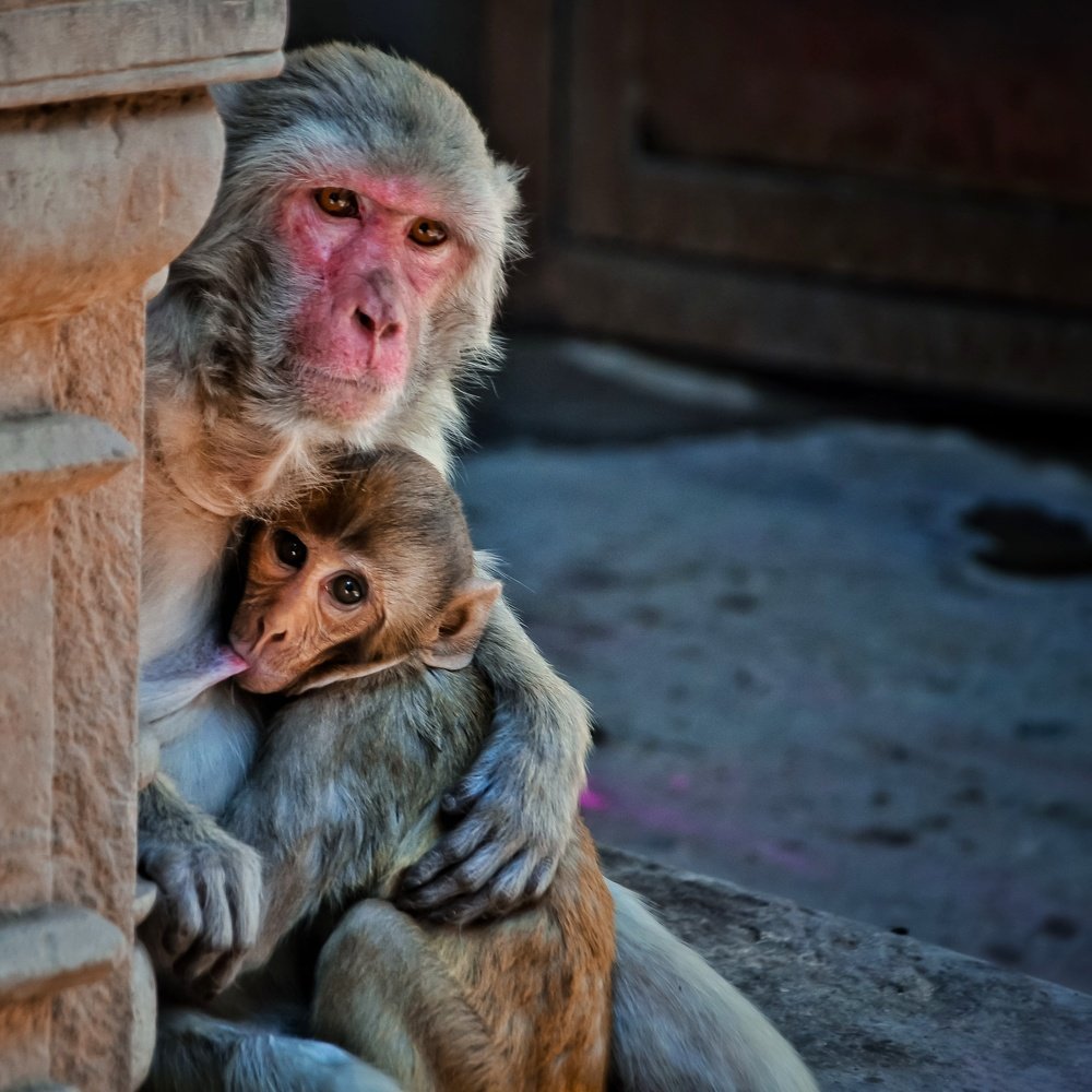 Photograph by Kshitij Patle