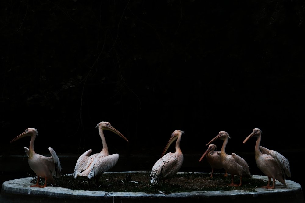 Photograph by Abhay Gupta