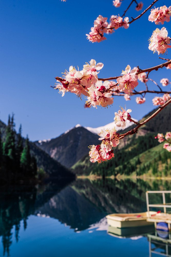 Фотография автора Kanat Mynbayev