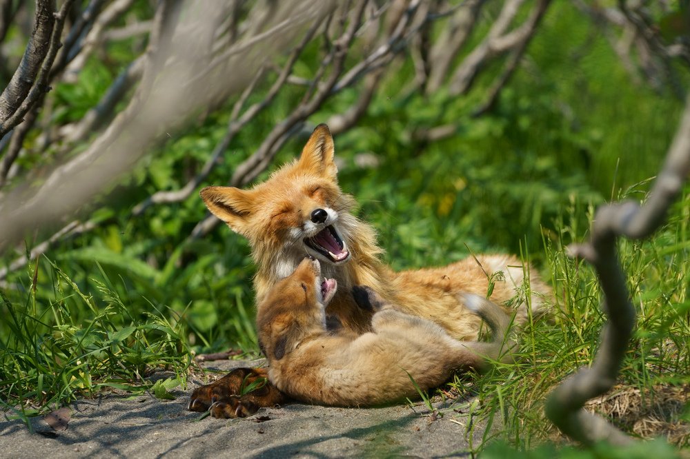 Photograph by Нина Ким