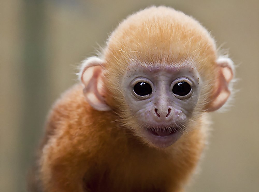 Photograph by Александр Романов