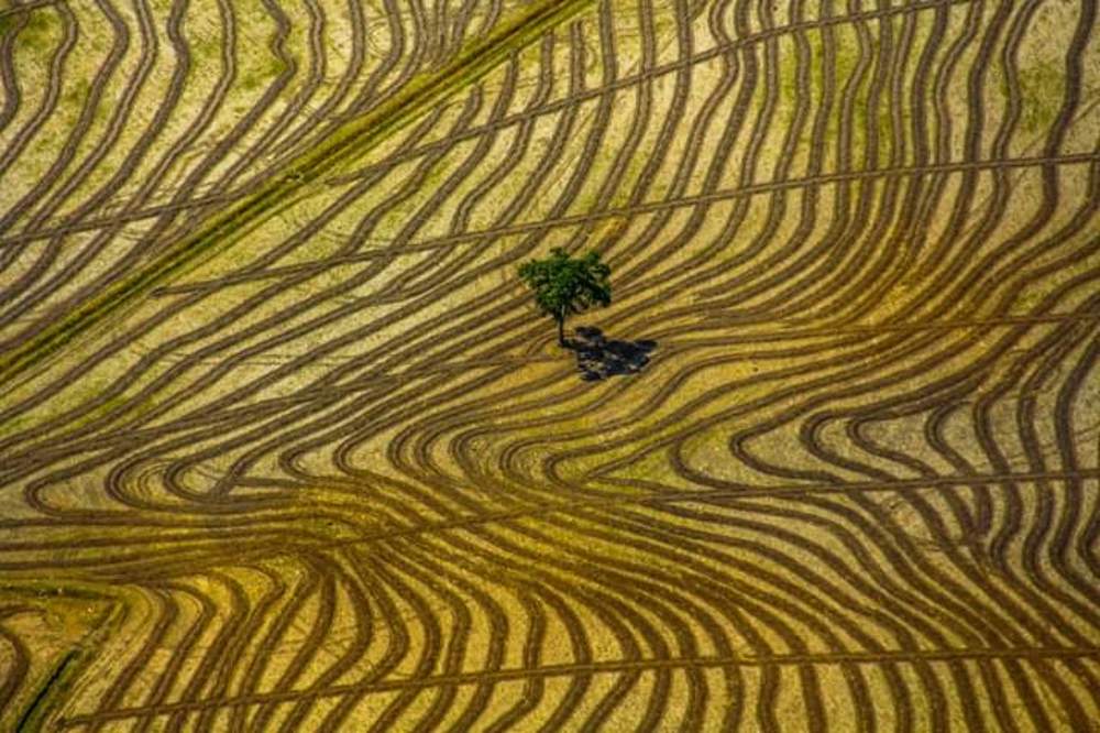 Photograph by Óscar eduardo