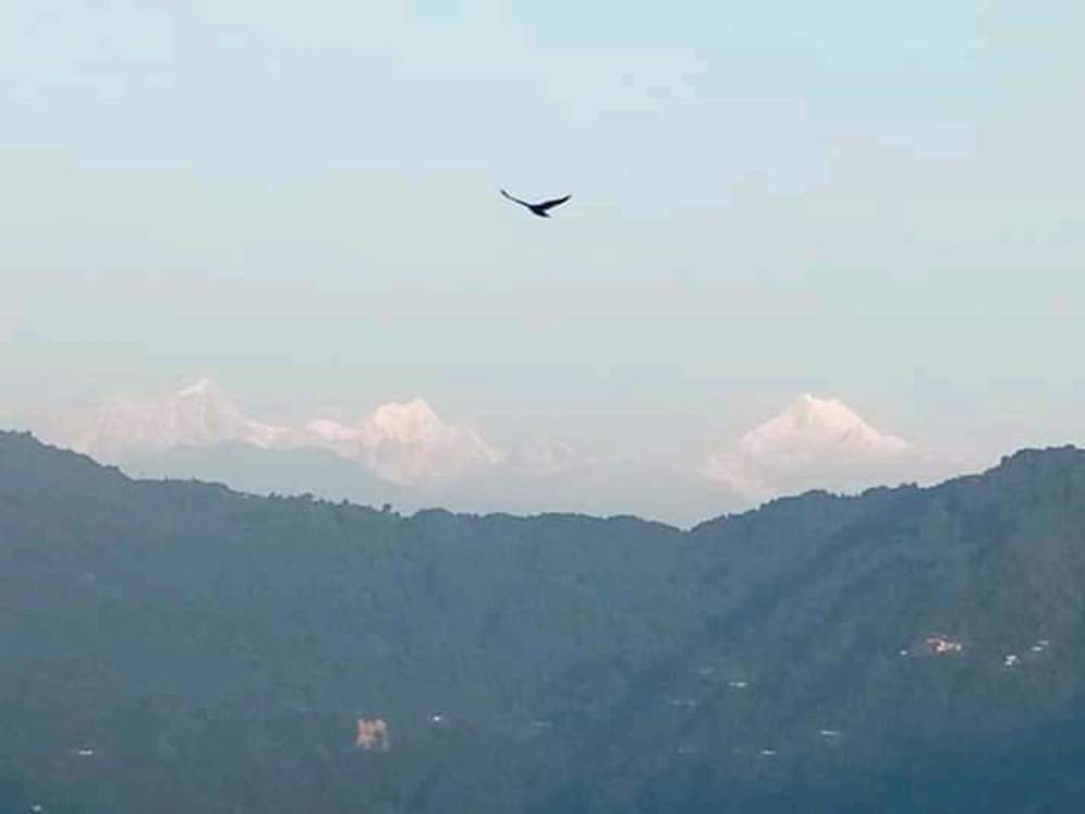 Freedom....!!!