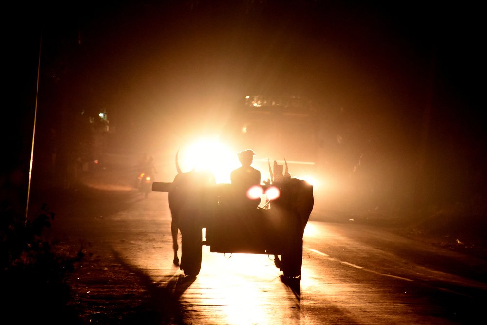 Photograph by GURURAJ KYATHANAHALLY
