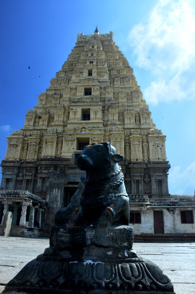 Photograph by GURURAJ KYATHANAHALLY