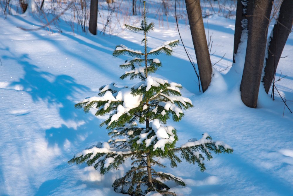 Photograph by Елена Прохорова