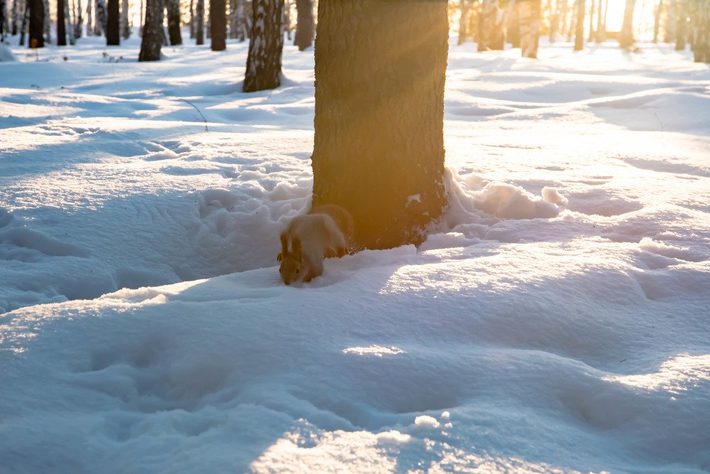 Photograph by Елена Прохорова