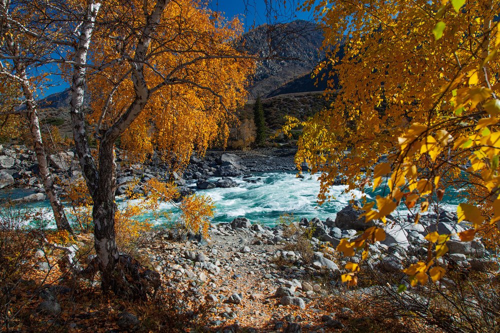 Photograph by Евгения Смолякова