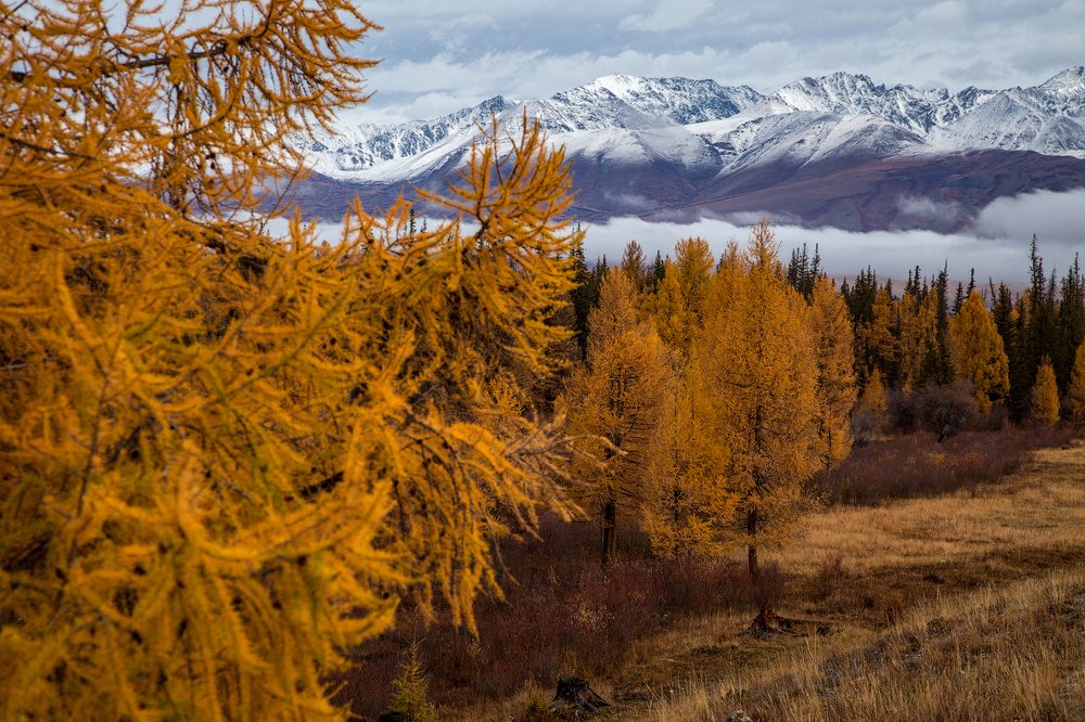Photograph by Евгения Смолякова