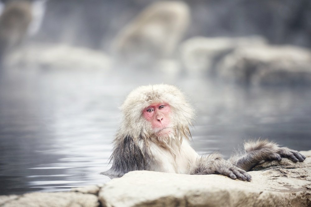 Photograph by Carlos Asensio Pizarro