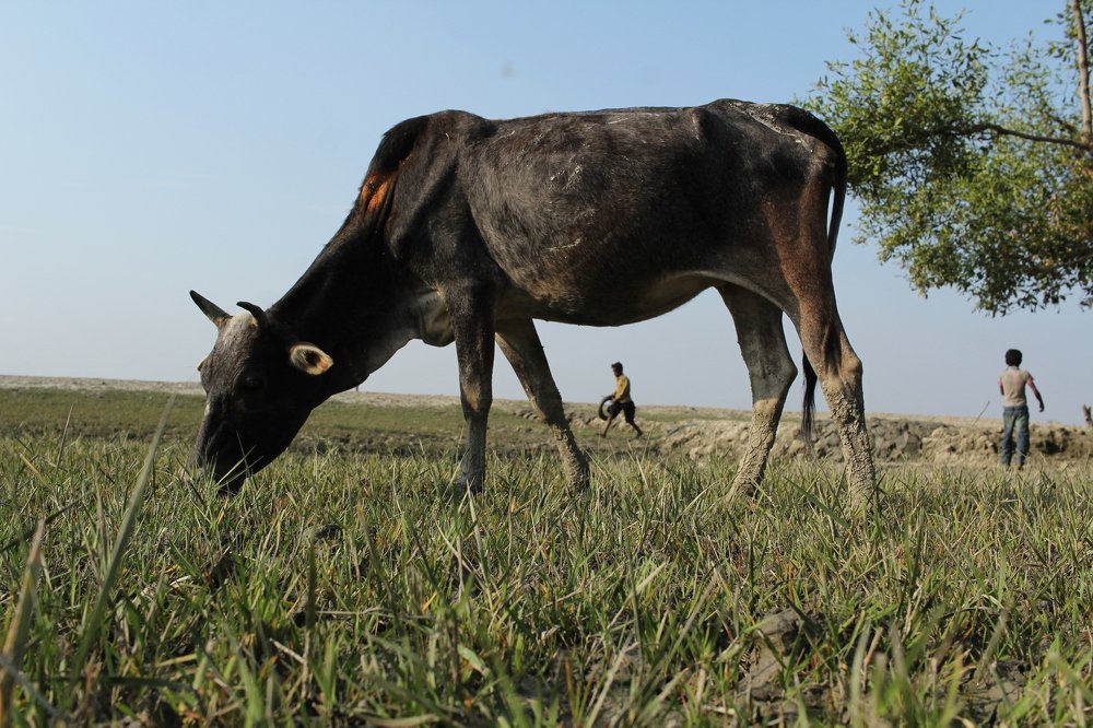 Photograph by Sourav Chakraborty
